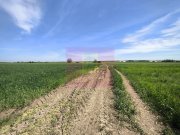 Teren intravilan cu potanțial pentru investiție - 5