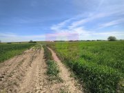 Teren intravilan cu potanțial pentru investiție - 7