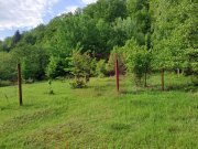 BEREVOIESTI (AG) SE VINDE TEREN 834 MP IN zona Pastravaria Rausor - 4