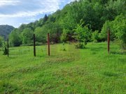 BEREVOIESTI (AG) SE VINDE TEREN 834 MP IN zona Pastravaria Rausor - 6