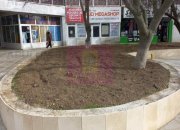 ALEXANDRIA (TR) - SE VINDE SPATIU COMERCIAL LANGA PARCUL CENTRAL - 7
