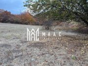 Teren de vânzare 5.000 mp | Poplaca | lângă pădure