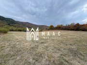 Teren de vânzare 5.000 mp | Poplaca | lângă pădure - 2