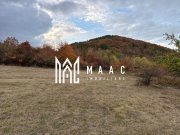 Teren de vânzare 5.000 mp | Poplaca | lângă pădure - 3