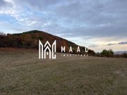 Teren de vânzare 5.000 mp | Poplaca | lângă pădure - 4