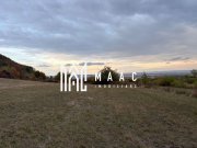 Teren de vânzare 5.000 mp | Poplaca | lângă pădure - 5