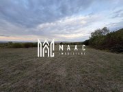 Teren de vânzare 5.000 mp | Poplaca | lângă pădure - 6