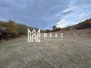 Teren de vânzare 5.000 mp | Poplaca | lângă pădure - 8